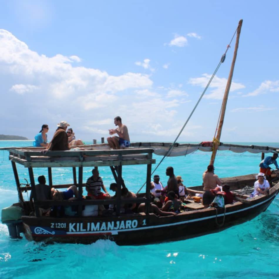 Safari Blue Zanzibar